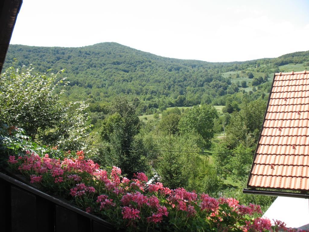 House Zlatko Guest House Seliste Dreznicko Exterior photo